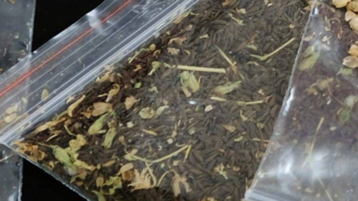 nzfhatipoglu 775x517