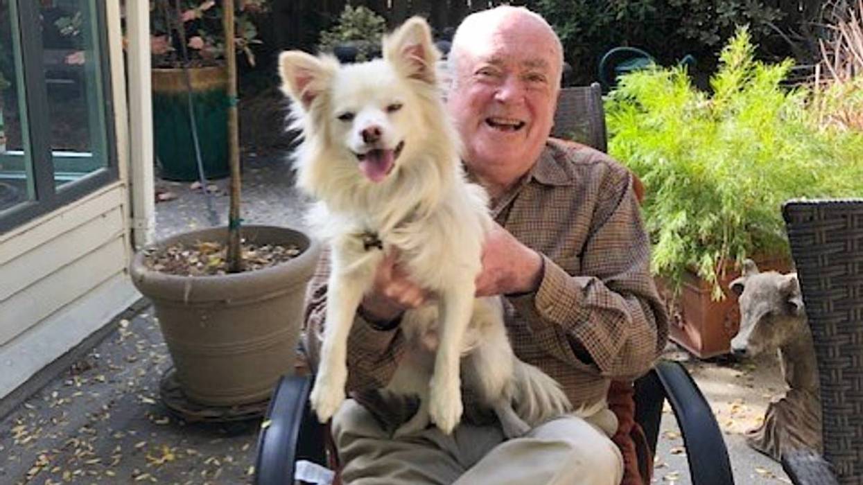 Obit Andy Lippman