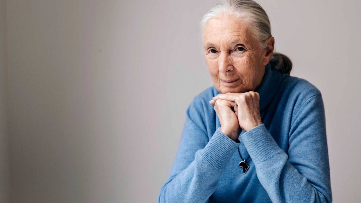 Obit Jane Goodall