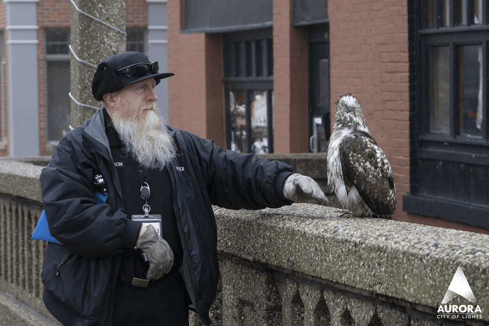officer approaches hawk