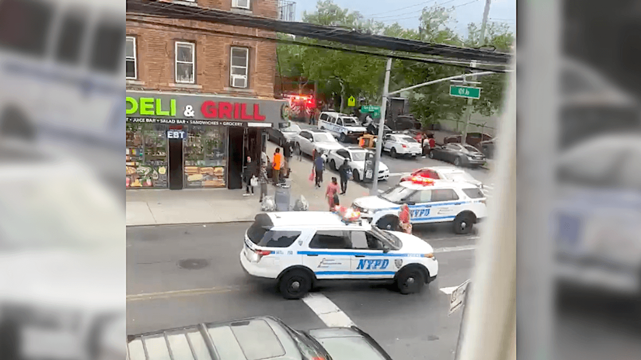 Officers approached the suspected car thief at Guy R. Brewer Boulevard and 109th Avenue in Jamaica on Tuesday evening