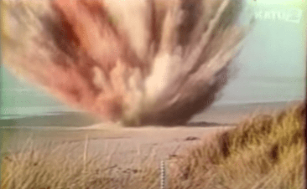 Officials with the Oregon Highway Division famously decided to blow up a beached, dead sperm whale in November 1970.