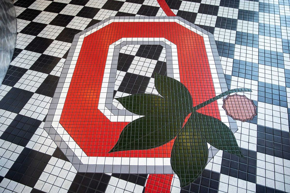 Ohio State University Buckeye