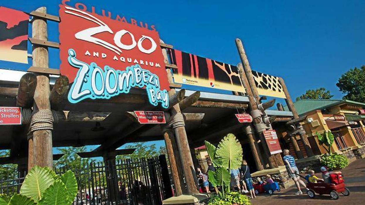 Ohio zookeeper attacked by cheetah