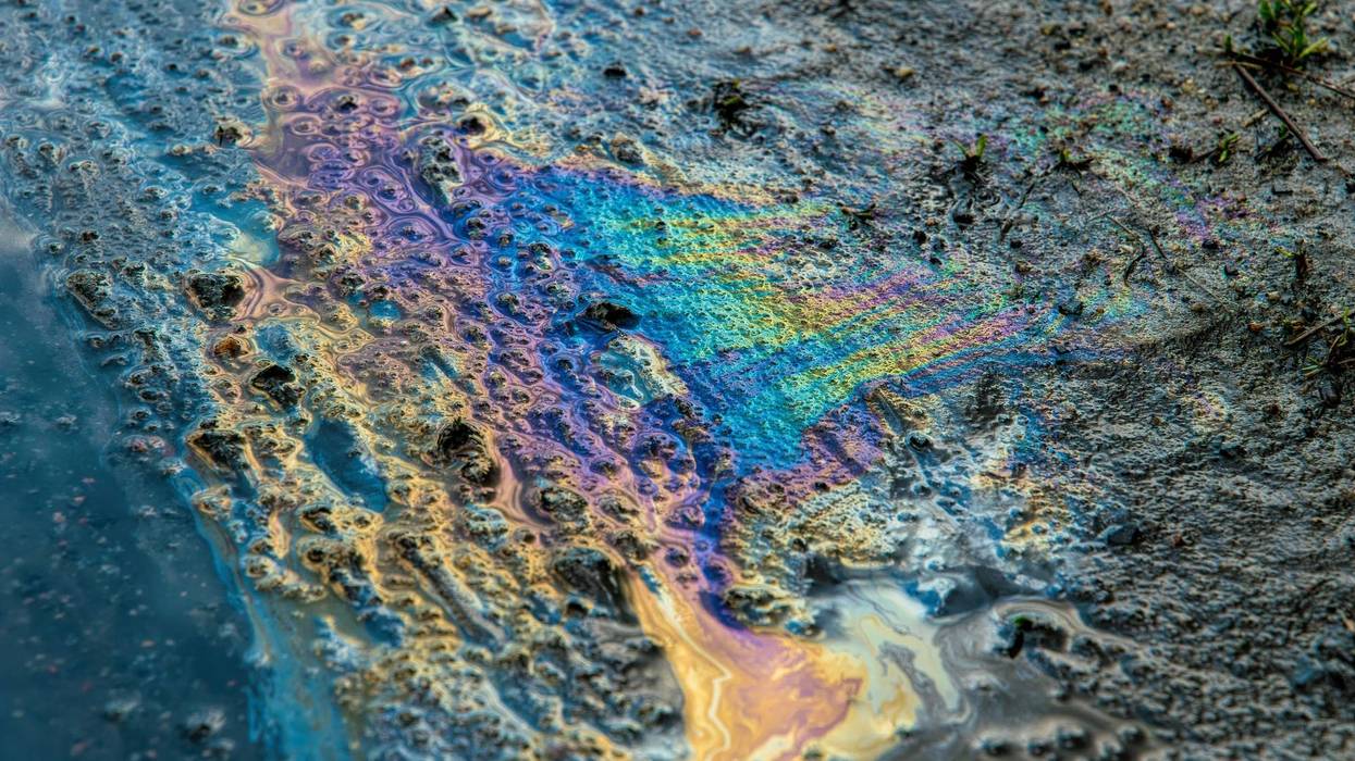 oil spill