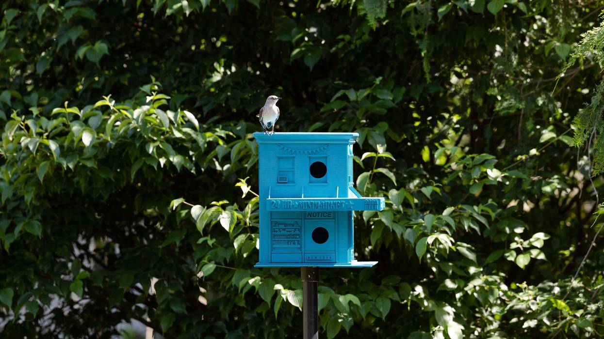 Olalekan Jeyifous 'Birdega' birdhouse