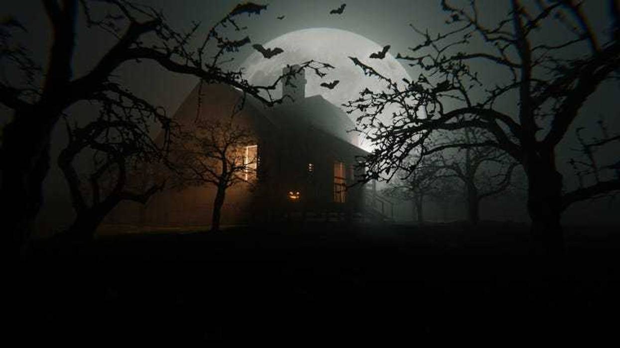 Old abandoned house with glow from windows with halloween pumpkin in field with trees with bats and forest with huge full moon on foggy scary night. Happy Halloween night, creative idea