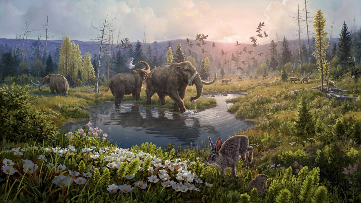 Oldest DNA reveals life in Greenland 2 million years ago