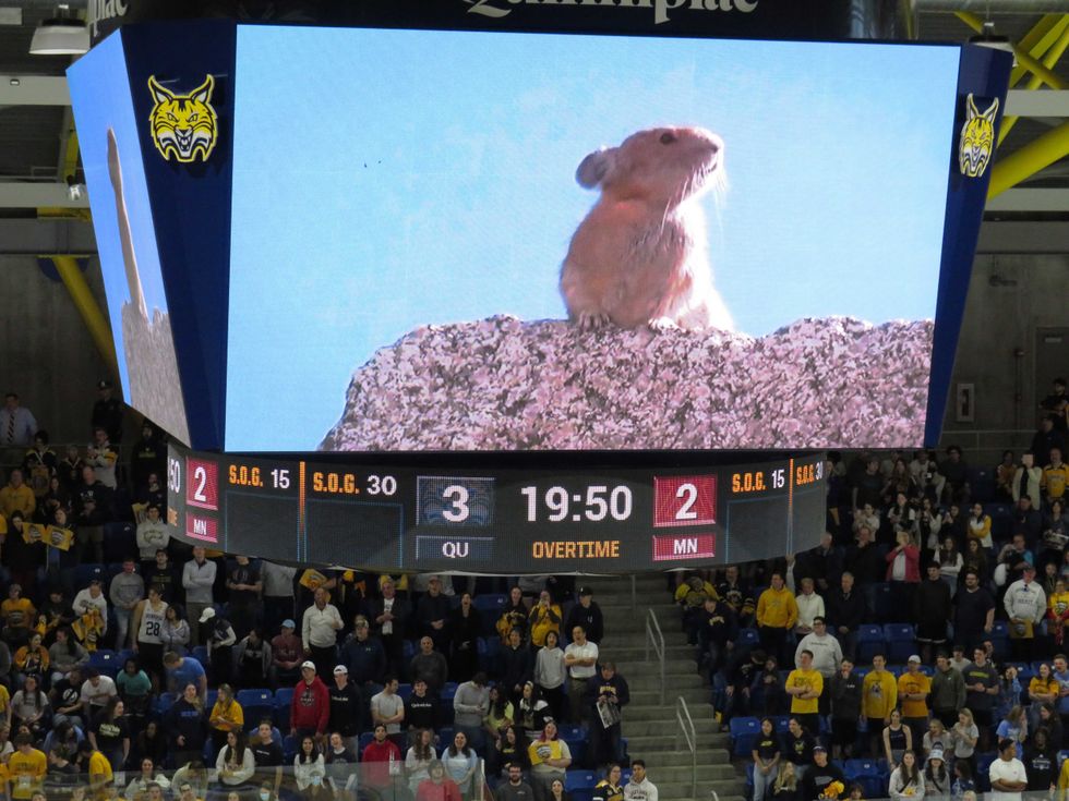 On 4/10/23, the scoreboard at Quinnipiac
