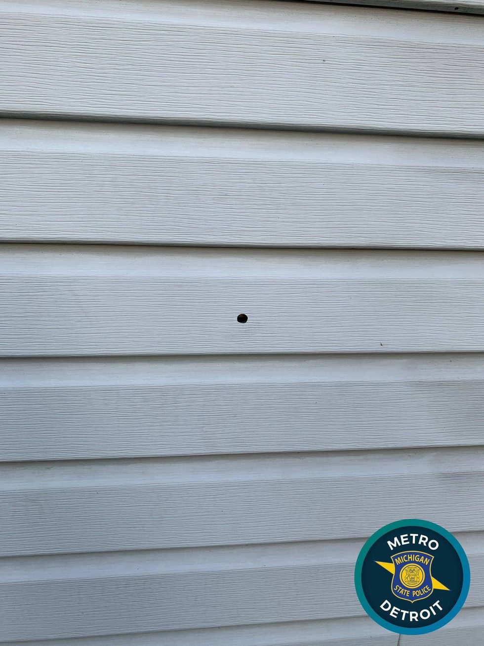 One Macomb County man is in police custody after he allegedly discharged a pistol through the wall of his home during a drunken dispute with a woman early Friday morning.