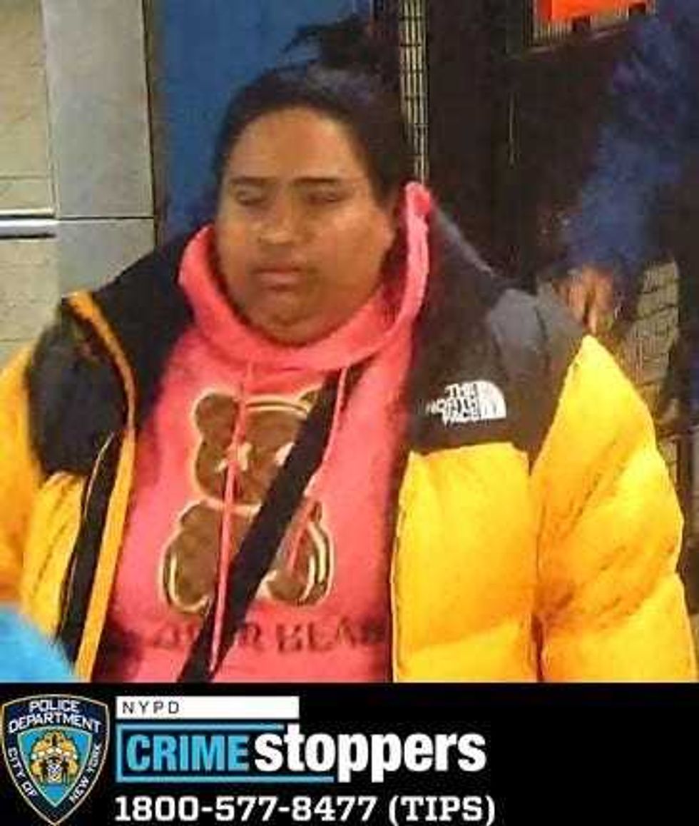 One of 11 suspects wanted in back-to-back robberies at the North Face store in SoHo last month.