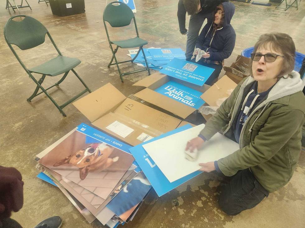 One of the volunteers getting set for over 10,000 animal lovers who will be at the Minnesota State Fairgrounds Saturday for the Humane Society's "Walk for Animals."