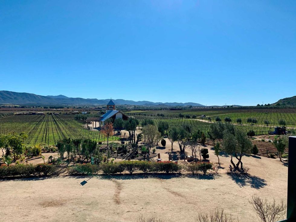 One of the Wineries