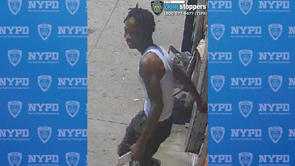 One of three suspects sought in the assault of a woman in the Bronx earlier this month and theft of her pets.