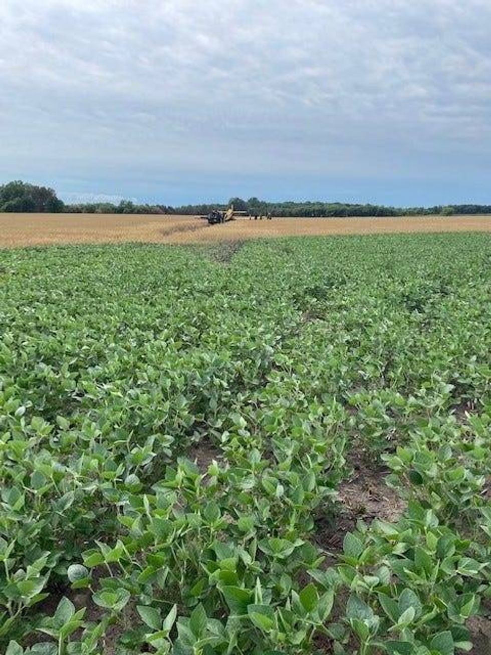One pilot in West Michigan was forced to make a runway out of crops on Saturday morning after they experienced an engine malfunction in-flight.
