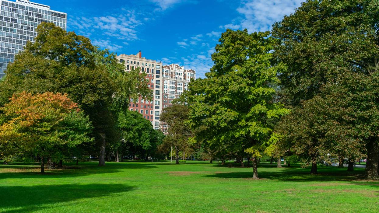 Open green space in Lincoln Park Chicago with trees and residential buildings