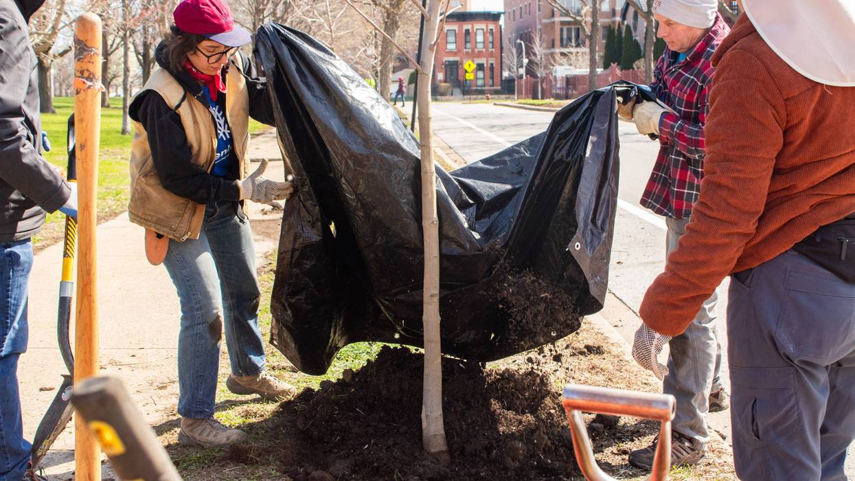 Local conservation nonprofit now accepting volunteers for TreeKeeper program