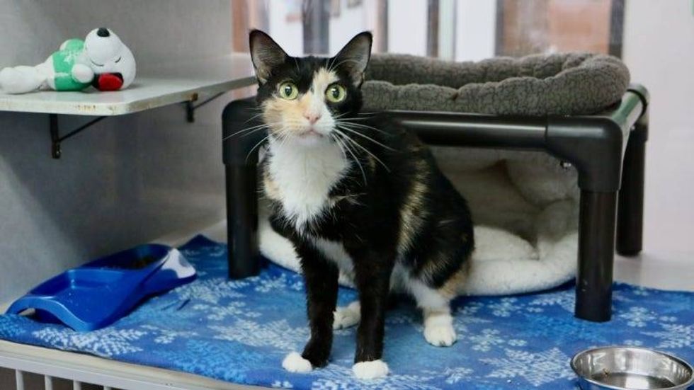 Oprah @ Austin Humane Society 10/11/23
