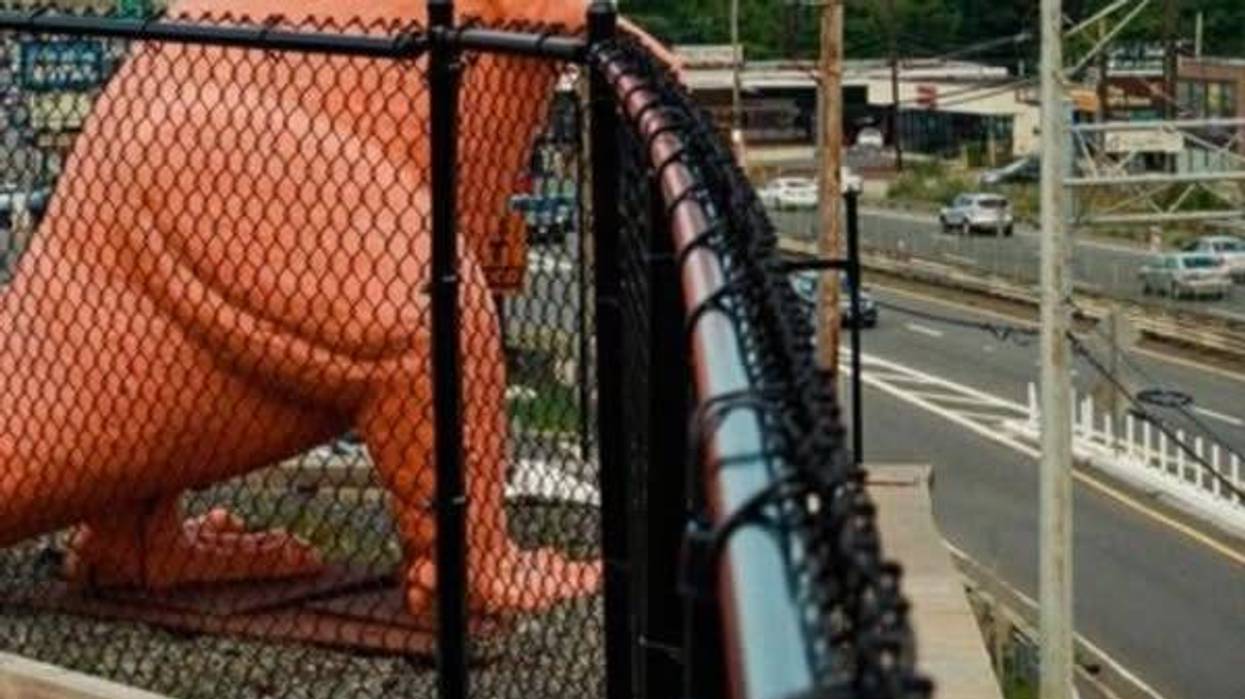Orange Dinosaur on Route 1