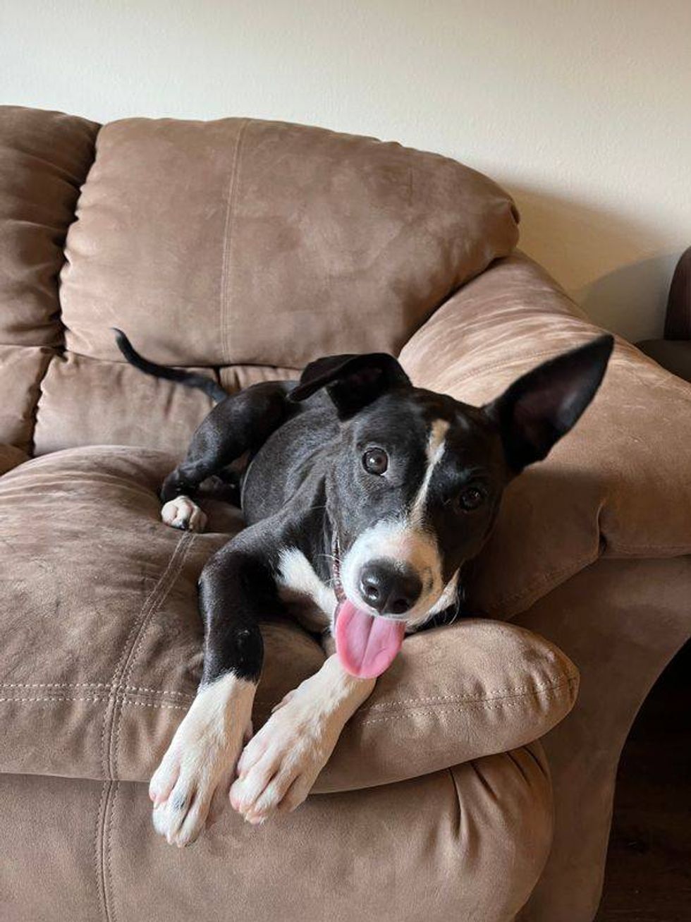 Oreo
