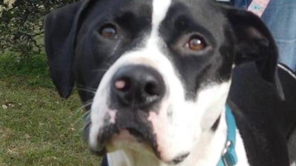 Otis AHS 111721