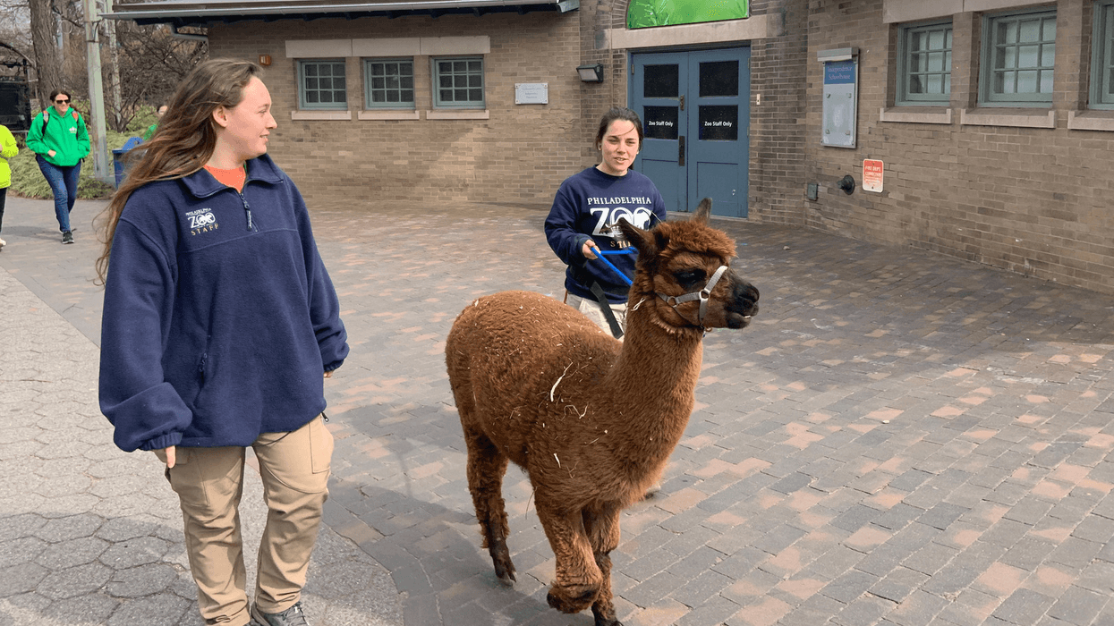 “Our animals need something called enrichment. It’s those extra things that make animals have an amazing day," says Dani Hogan, the Zoo’s director of mission integration.