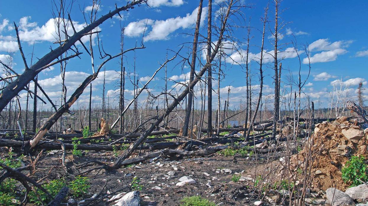 Our summer-like temps and low humidity are prompting the Department of Natural Resources to issue a critical fire danger warning for a large part of Minnesota.