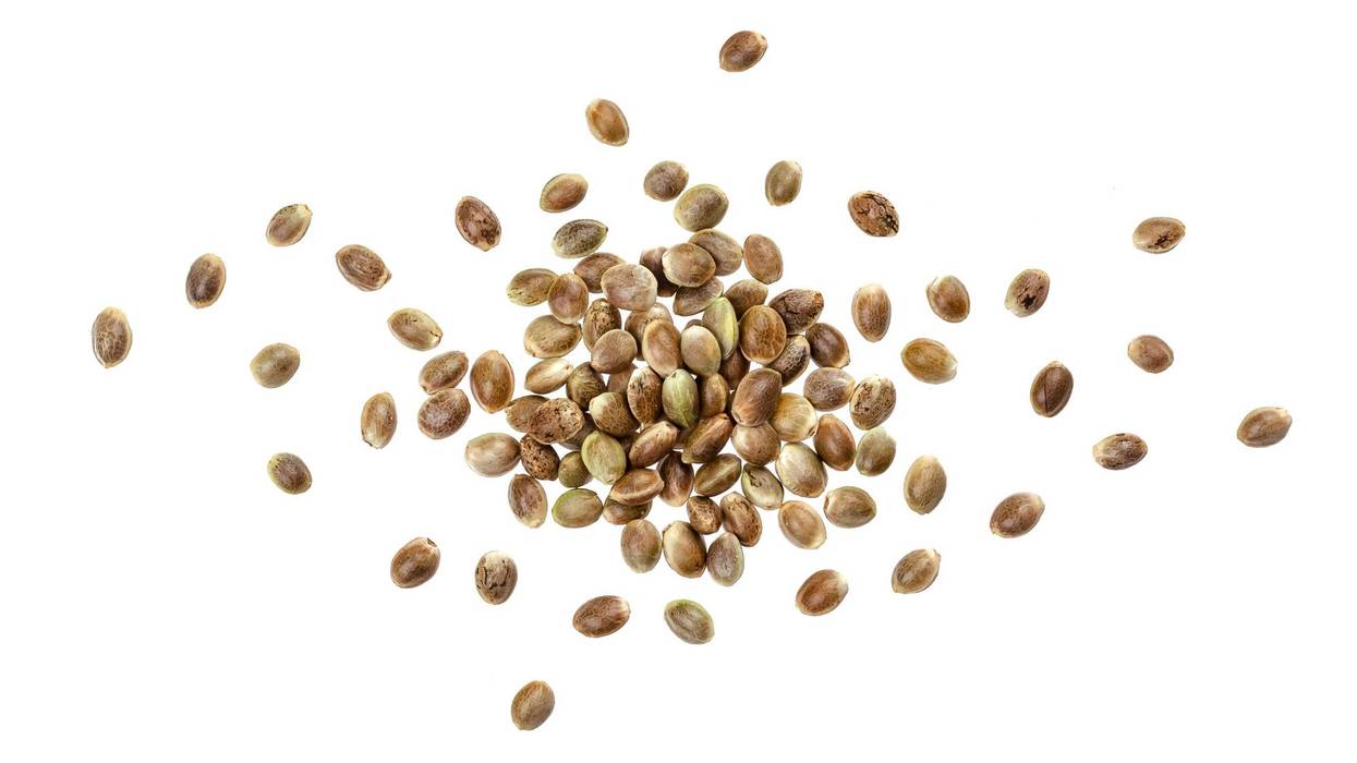 Over 400 randomly sent seeds from China