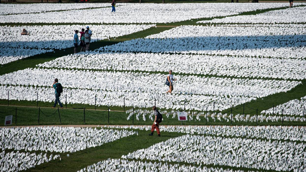 Over 650,000 White Flags Planted On National Mall To Honor American Covid Deaths