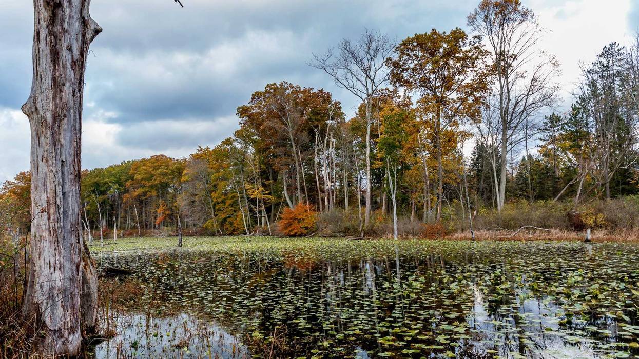 oxbow lagoon North Chagrin nature reservation Ohio metroparks