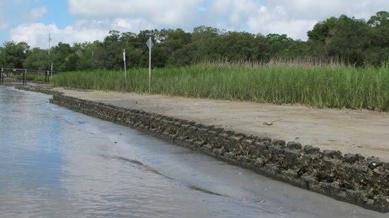 Oyster castles are concrete structures that provide a base for oyster reefs. They can be used on shorelines with higher wave action than other materials.