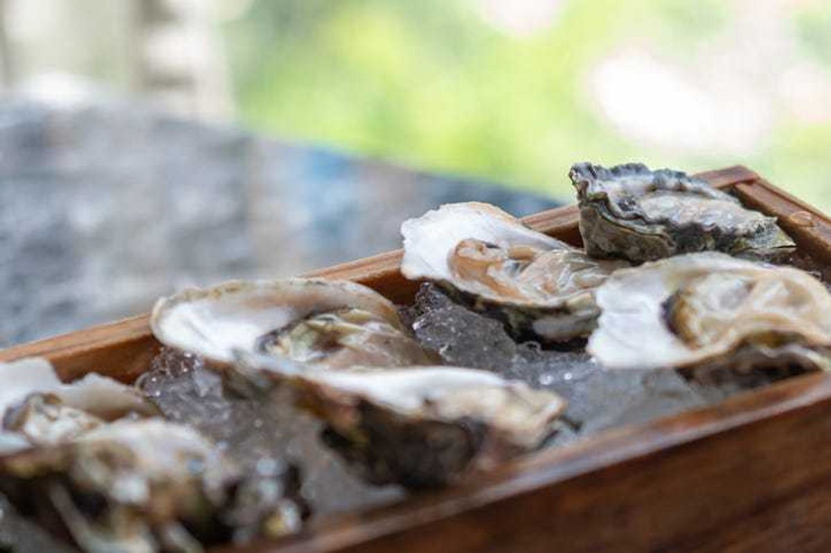 Oyster served with ice, on the table