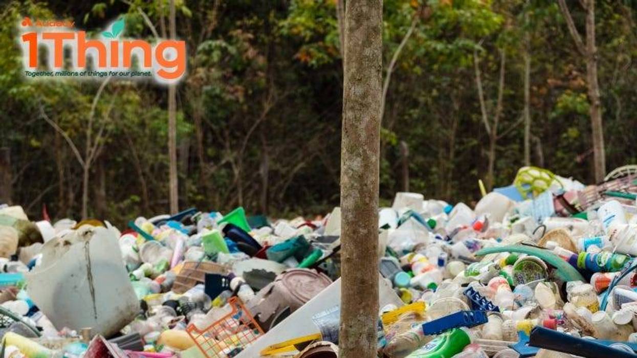 p;ressdigital / Getty Images