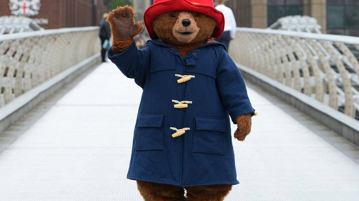 paddington_bear
