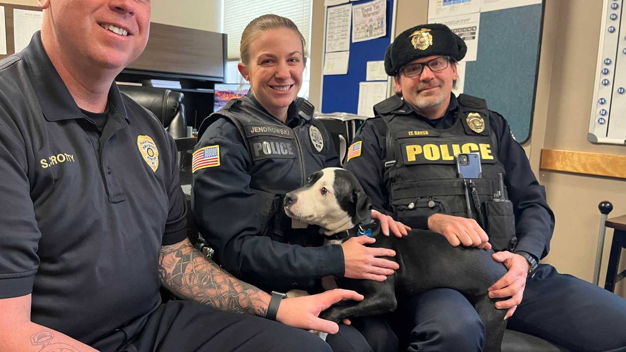 Paddy poses with Hamburg Emergency Services Manager Sean Crotty, Officer Mindy Jendrowski and Lt. John Baker.