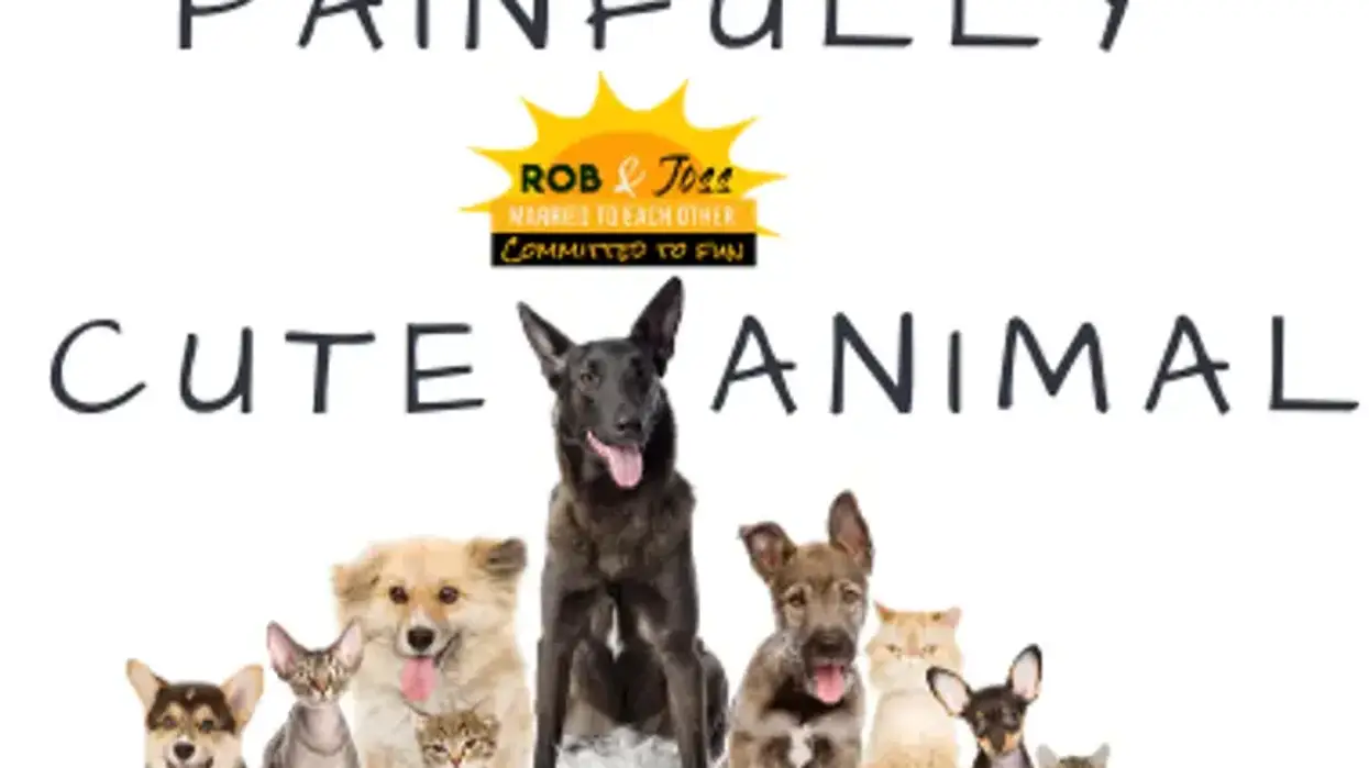 Painfully Cute Animal Logo