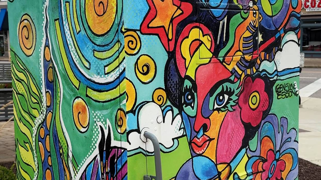 Painted utility box (designed by Genevieve Esson) in Maplewood along Manchester Avenue