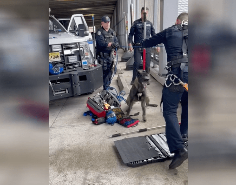 PAPD ESU officers rescued Bailey in Jersey City on Sunday