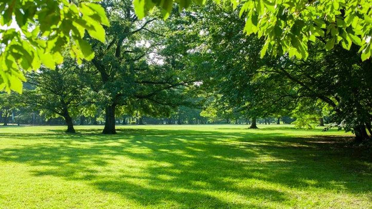 Park