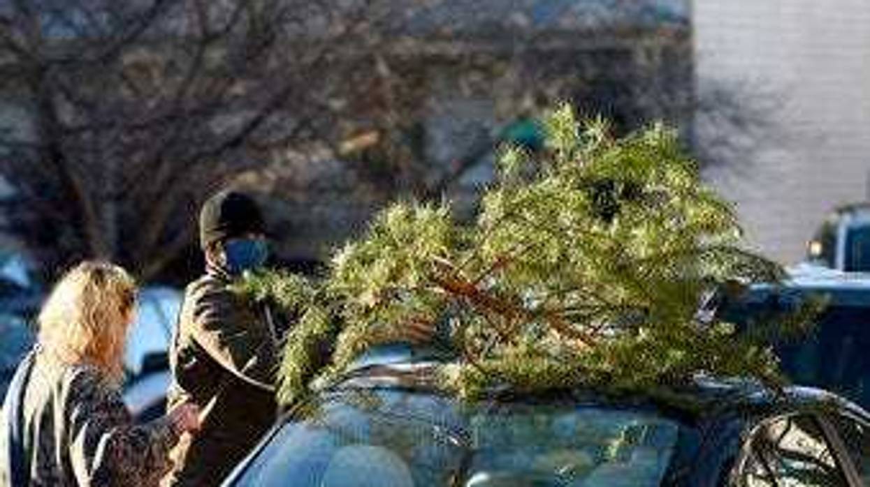 Parker Vivier and Marsden Olsen, both of Richmond, prepare to tie their tree to their car after purchasing from Frank Pichel's tree lot, Sunday, Dec. 6, 2020, in Richmond. (AP Photo/Will Newton)