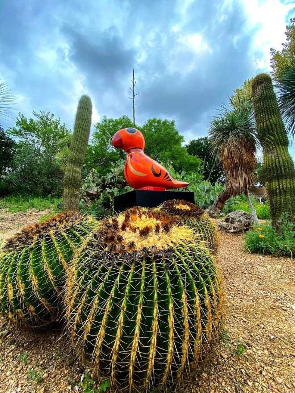 parrot