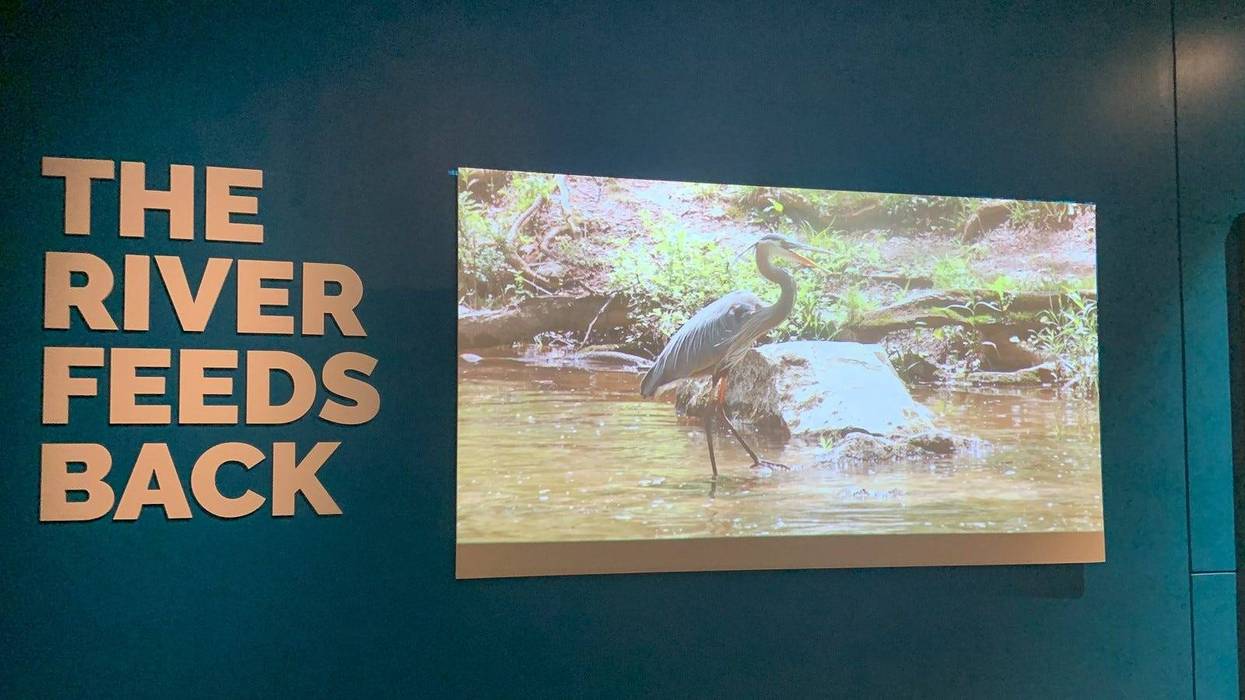 Part of the Academy of Natural Sciences at Drexel University’s “Watershed Moment” walking art exhibition.