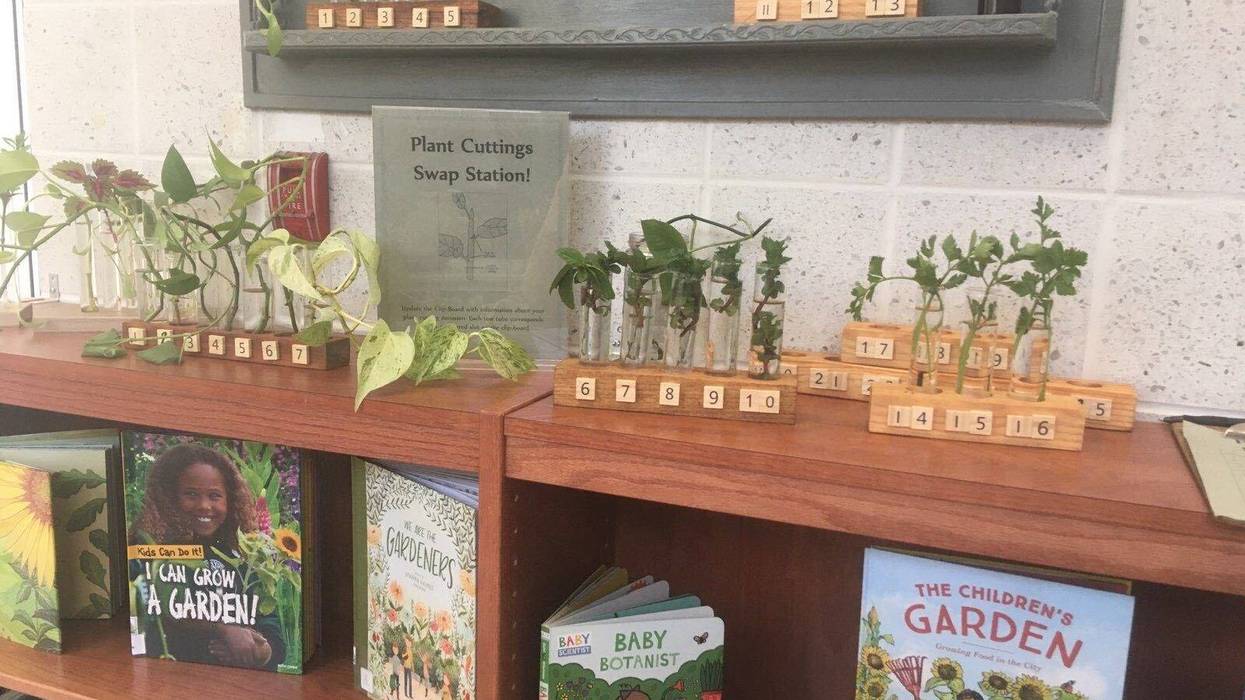 Part of the Chestnut Hill Free Library Plant Exchange.