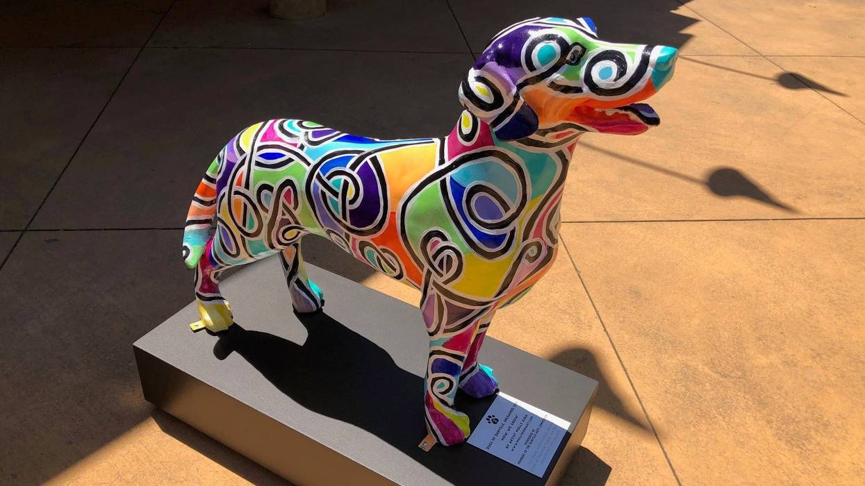 Part of the "Dogs of Danville, Unleashed!" on the streets of the East Bay town.