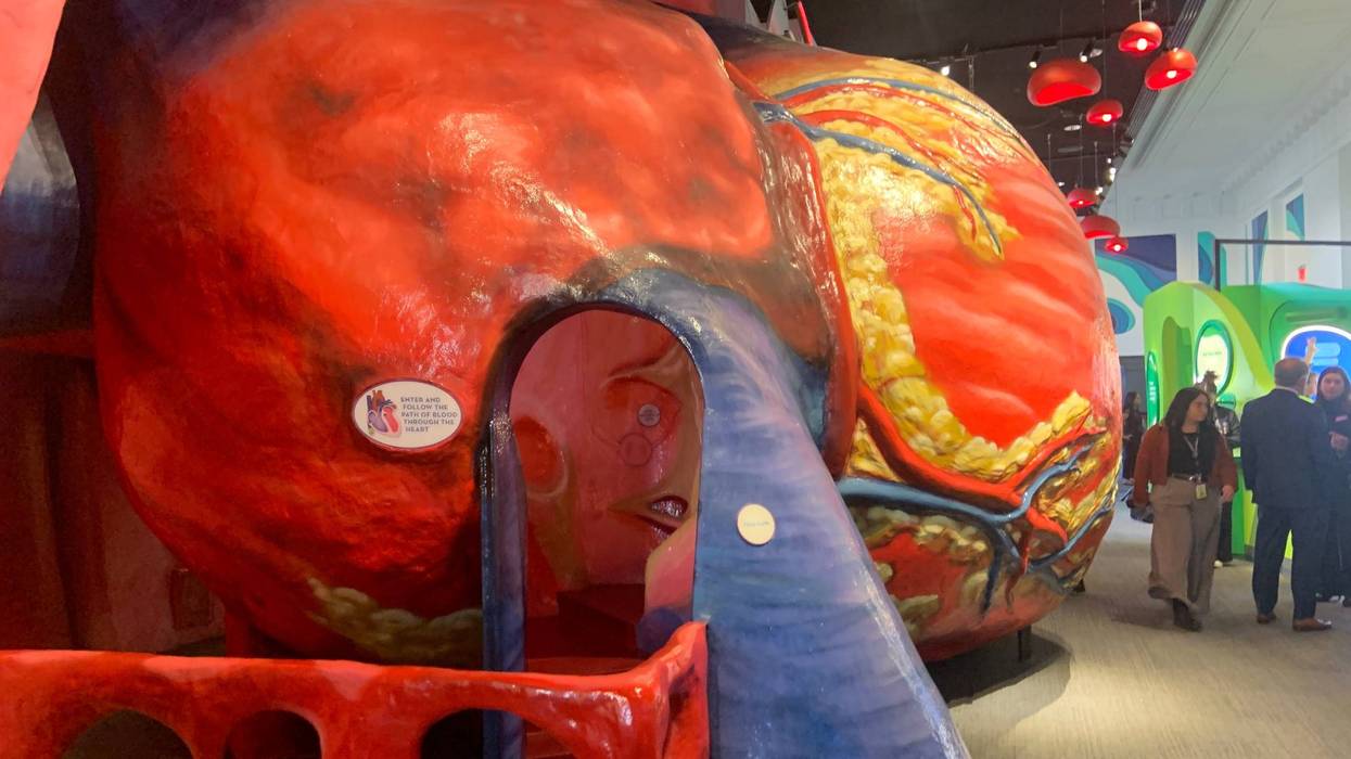 Part of the new heart exhibit at the Franklin Institute.