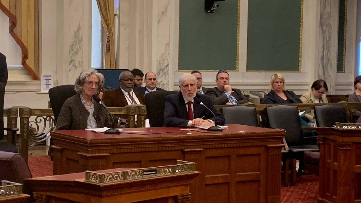 Paul Levy and Sarah McEneaney testifying