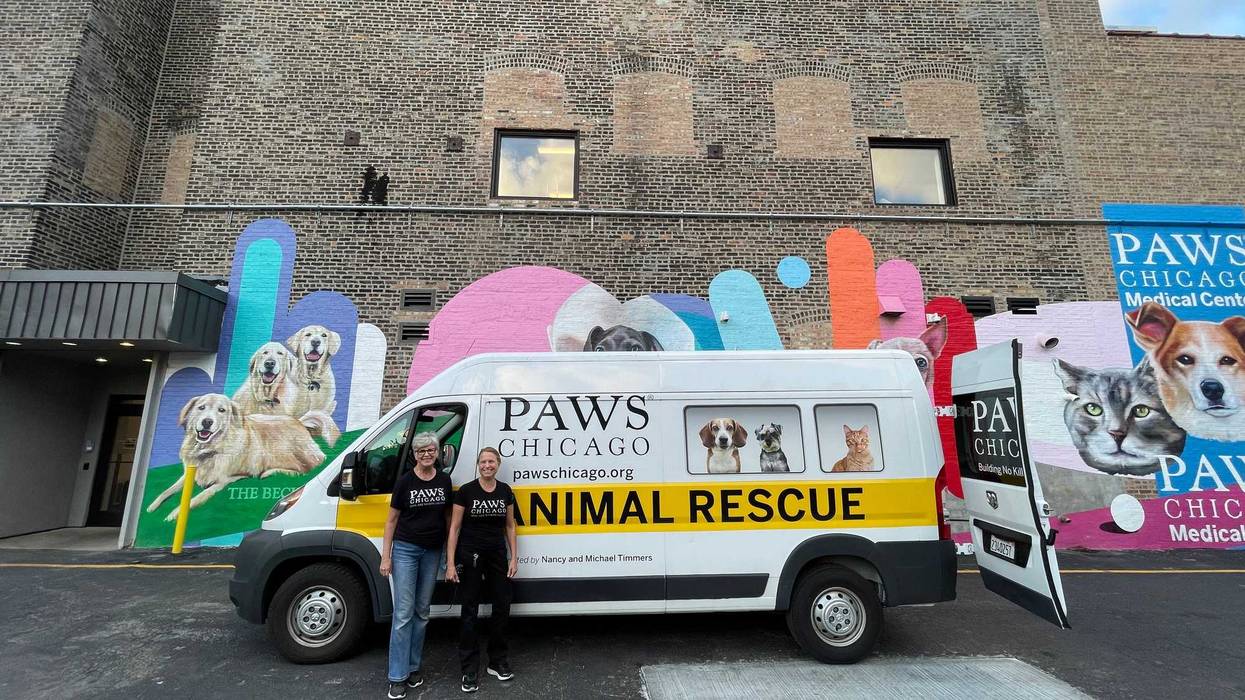 PAWS Chicago heads to Louisiana to bring rescue pets to Chicago for fostering