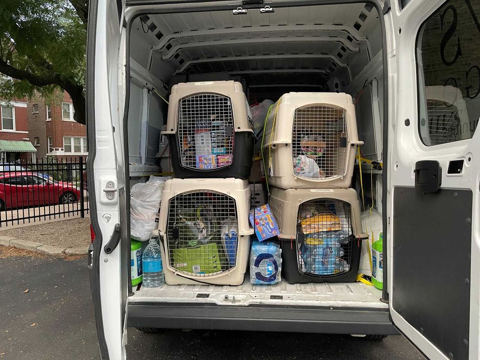 PAWS Chicago