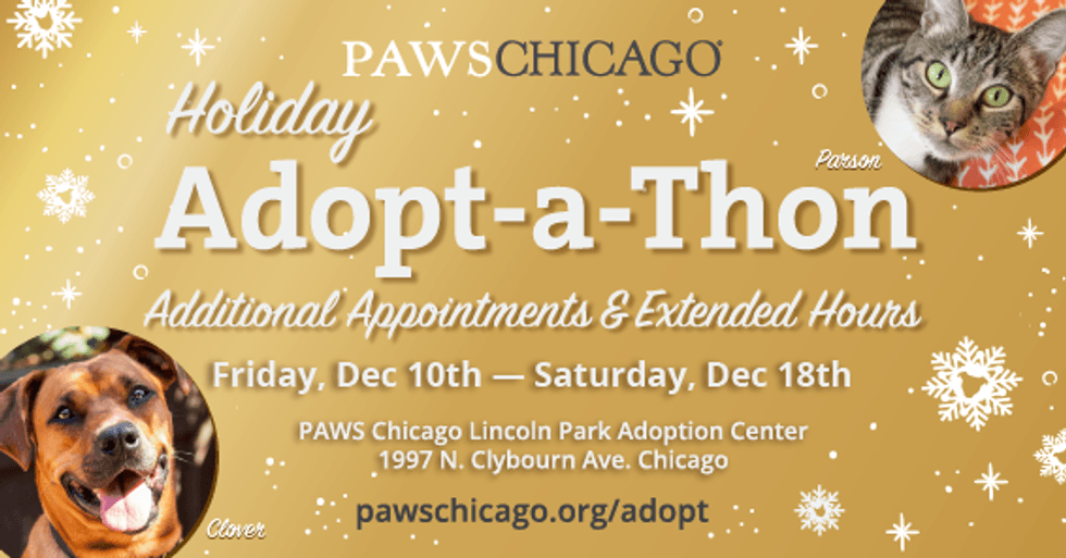 PAWS Chicago
