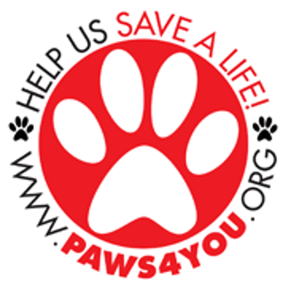 paws